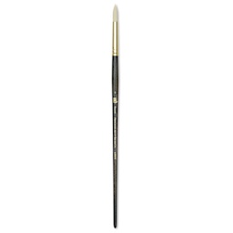 Princeton Series 6300 Dakota Synthetic Bristle Brush - Round, Long Handle, Size 6