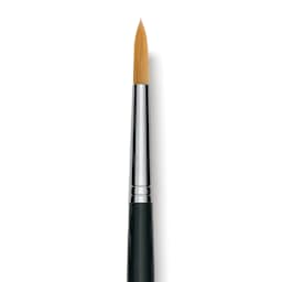 Da Vinci Nova Brush - Round, Long Handle, Size 16