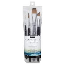 Princeton Aqua Elite Series 4850 Synthetic Brushes - Set of 4, front of packaging