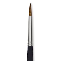 Princeton Aqua Elite Series 4850 Synthetic Brush - Round, Size 6, Short Handle, close up