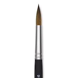 Princeton Aqua Elite Series 4850 Synthetic Brush - Round, Size 12, Short Handle, close up