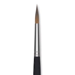 Princeton Aqua Elite Series 4850 Synthetic Brush - Long Round, Size 8, Short Handle, close up