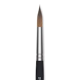 Princeton Aqua Elite Series 4850 Synthetic Brush - Long Round, Size 12, Short Handle, close up