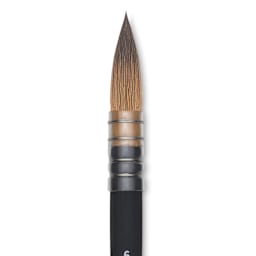 Princeton Aqua Elite Series 4850 Synthetic Brush - Quill, Size 6, Short Handle, close up
