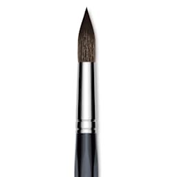 Da Vinci Casaneo Synthetic Squirrel Watercolor Brush - Round, Size 20, Short Handle, Synthetic, close up