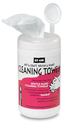 Brush and Hand Wipes
