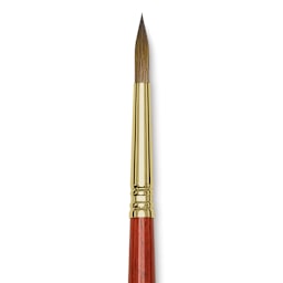 Blick Master Kolinsky Sable Brush - Pointed Round, Short Handle, Size 8 close up