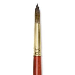 Blick Master Kolinsky Sable Brush - Pointed Round, Short Handle, Size 12 close up