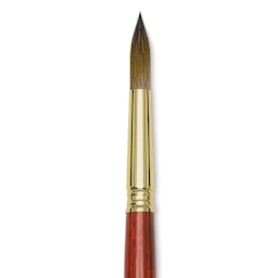Blick Master Kolinsky Sable Brush - Pointed Round, Short Handle, Size 14 close up