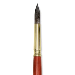 Blick Master Natural Brush - Round, Size 14, close-up
