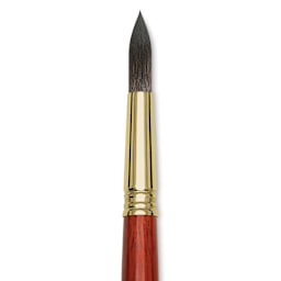 Blick Master Natural Brush - Round, Size 16, close-up