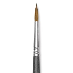 Blick Studio Sable Brush - Round, Short Handle, Size 6 close up