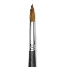 Blick Studio Sable Brush - Round, Short Handle, Size 12 close up