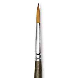 Blick Studio Short Handle Synthetic Brush - Round, Black Handle, Size 4, close up