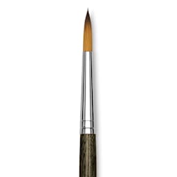 Blick Studio Short Handle Synthetic Brush - Round, Black Handle, Size 6, close up