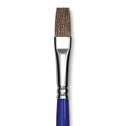 Blick Scholastic Pony Brush - Bright, Short Handle, Size 12 close up