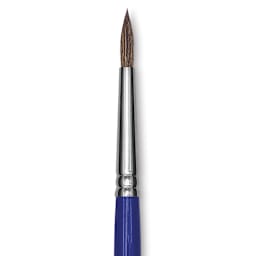 Blick Scholastic Pony Brush - Round, Short Handle, Size 8 close up