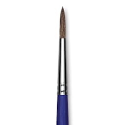 Blick Scholastic Camel Hair Brush - Round, Short Handle, Size 6 close up