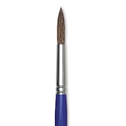 Blick Scholastic Camel Hair Brush - Round, Short Handle, Size 12 close up