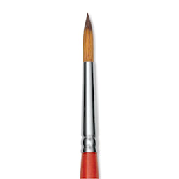 Raphael Golden Kaerell Brush - Pointed Round, Short Handle, Size 6, close-up