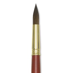 Blick Master Kolinsky Sable Brush - Round, Long Handle, Size 16 close up