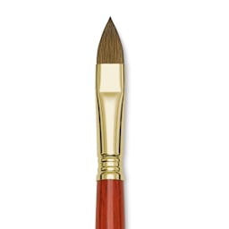 Blick Master Kolinsky Sable Brush - Filbert, Long Handle, Size 14 close up