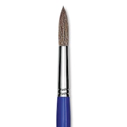 Blick Scholastic Ox Hair Brush - Round, Long Handle, Size 16 close up