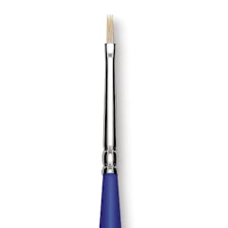 Blick Scholastic White Bristle Brush - Flat, Size 0 close up