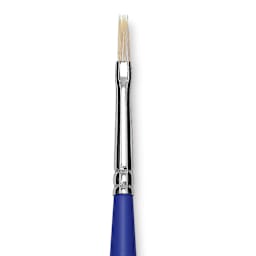 Blick Scholastic White Bristle Brush - Flat, Size 2 close up