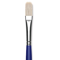 Blick Scholastic White Bristle Brush - Filbert, Size 12 close up