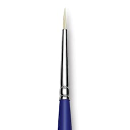 Blick Scholastic White Bristle Brush - Round, Size 0 close up