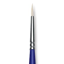 Blick Scholastic White Bristle Brush - Round, Size 1 close up