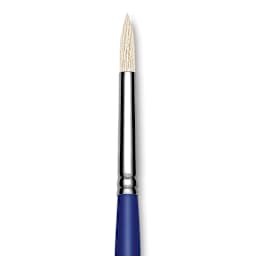Blick Scholastic White Bristle Brush - Round, Size 8 close up