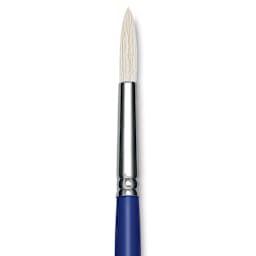 Blick Scholastic White Bristle Brush - Round, Size 12 close up