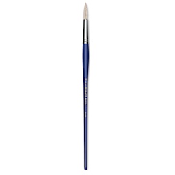 Blick Scholastic White Bristle Brush - Round, Size 16