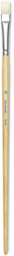 Raphaël Extra White Bristle Brushes - Bright brush shown upright