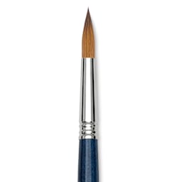 Escoda Optimo Kolinsky Sable Brush - Pointed Round, Long Handle, Size 12 close up