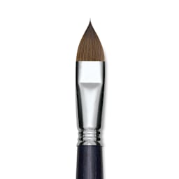 Escoda Optimo Kolinsky Sable Brush - Filbert, Long Handle, Size 18 close up