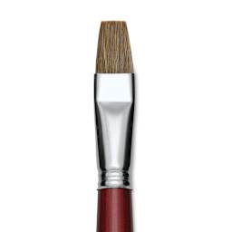 Escoda Bravo Light Ox Hair Brush - Bright, Long Handle, Size 18 close up