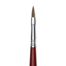 Escoda Bravo Light Ox Hair Brush - Long Filbert, Long Handle, Size 4 close up
