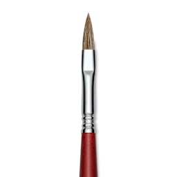 Escoda Bravo Light Ox Hair Brush - Long Filbert, Long Handle, Size 8 close up