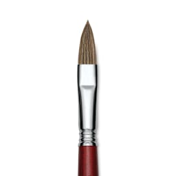 Escoda Bravo Light Ox Hair Brush - Long Filbert, Long Handle, Size 14 close up