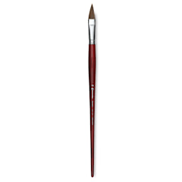Escoda Bravo Light Ox Hair Brush - Long Filbert, Long Handle, Size 16