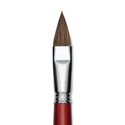 Escoda Bravo Light Ox Hair Brush - Long Filbert, Long Handle, Size 18 close up