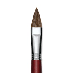 Escoda Bravo Light Ox Hair Brush - Long Filbert, Long Handle, Size 20 close up