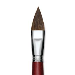 Escoda Bravo Light Ox Hair Brush - Long Filbert, Long Handle, Size 24 close up