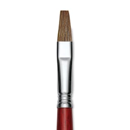 Escoda Bravo Light Ox Hair Brush - Flat, Long Handle, Size 14 close up