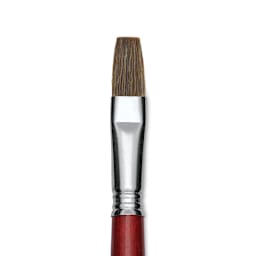 Escoda Bravo Light Ox Hair Brush - Flat, Long Handle, Size 16 close up