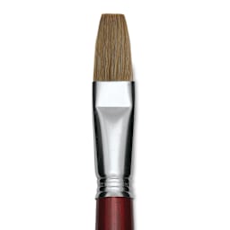 Escoda Bravo Light Ox Hair Brush - Flat, Long Handle, Size 20 close up