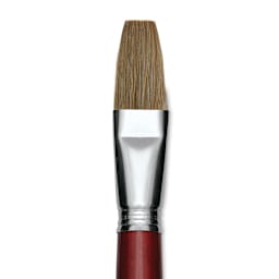 Escoda Bravo Light Ox Hair Brush - Flat, Long Handle, Size 24 close up